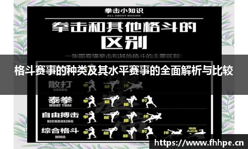 格斗赛事的种类及其水平赛事的全面解析与比较