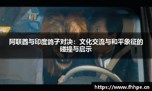 阿联酋与印度鸽子对决：文化交流与和平象征的碰撞与启示